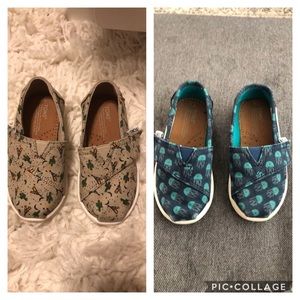 TOMS- Toddler Boy size 6